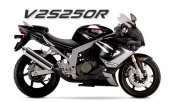 2010 UM V2S-250R photo